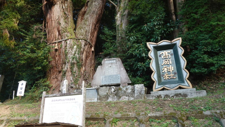 高岡神社の御神木