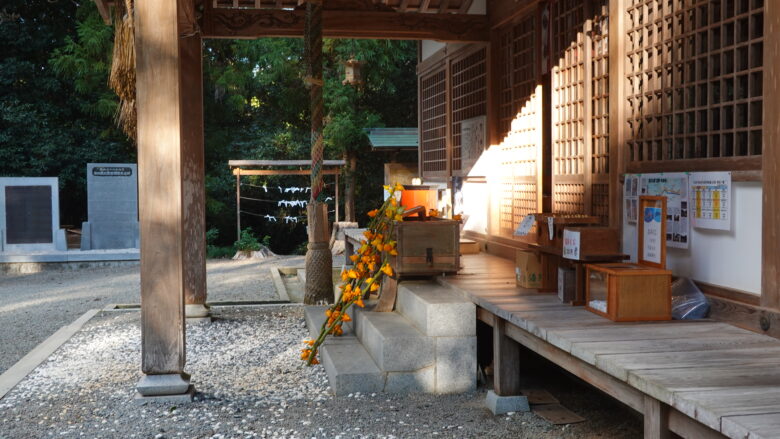 様々な角度から拝殿を見物しよう