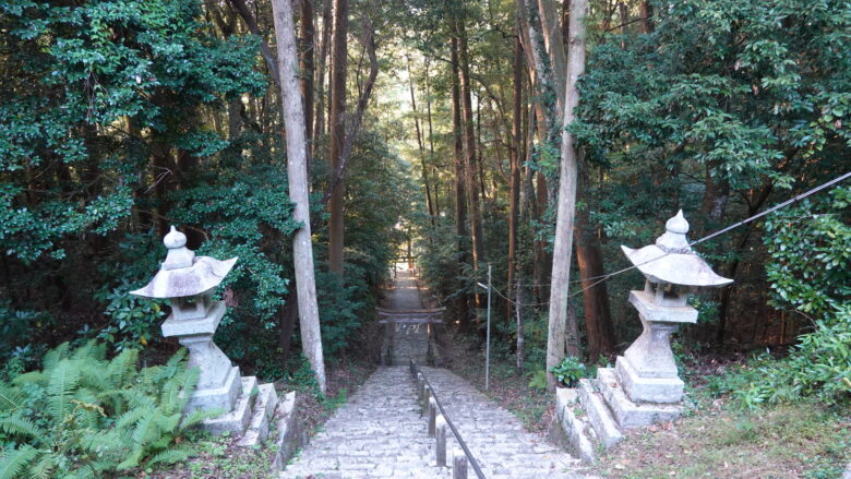 眼下に延びる一直線の道がGood！