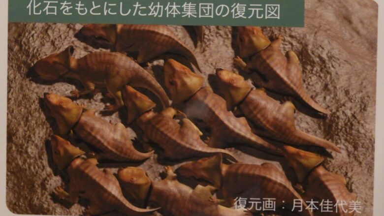 化石をもとにした幼体集団の復元図