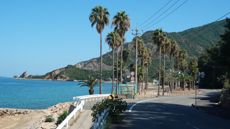 まるで南国だな~