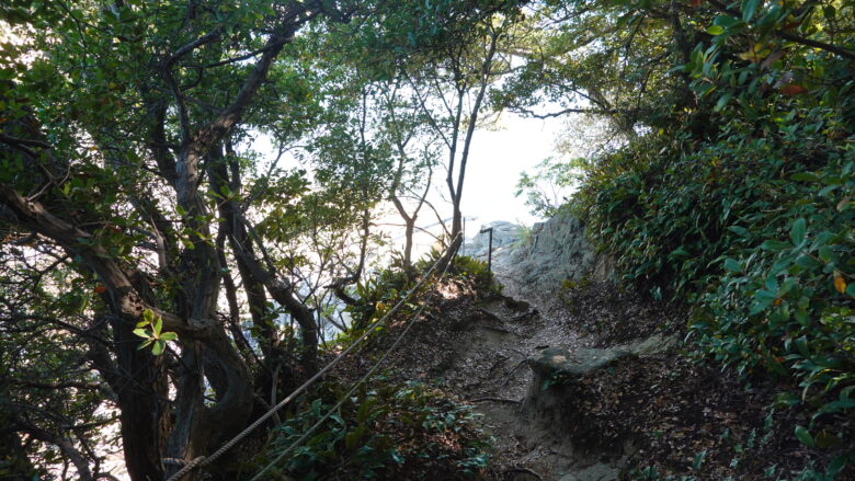 まぁ、こうなるよね