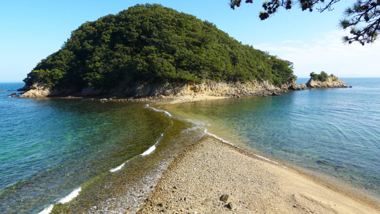 希望の道は、まだつながっていなかった