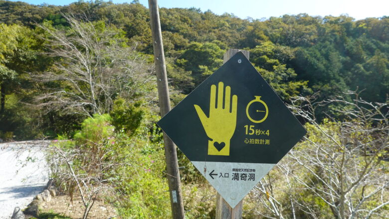 これは、いったい何？