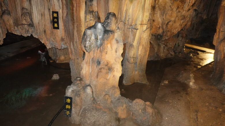 【唐獅子】うん、確かに獅子に見える