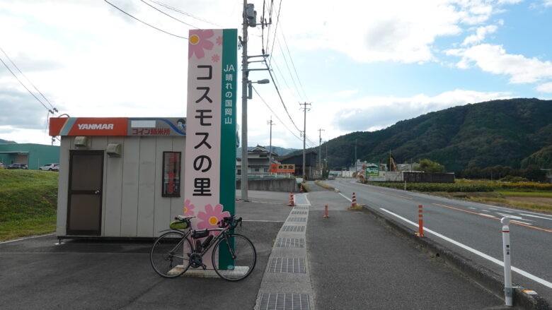 コスモス広場から再出発