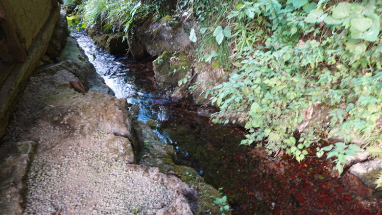 後ろへ振り向くと、こんこんと湧き出した水が流れていたので一安心
