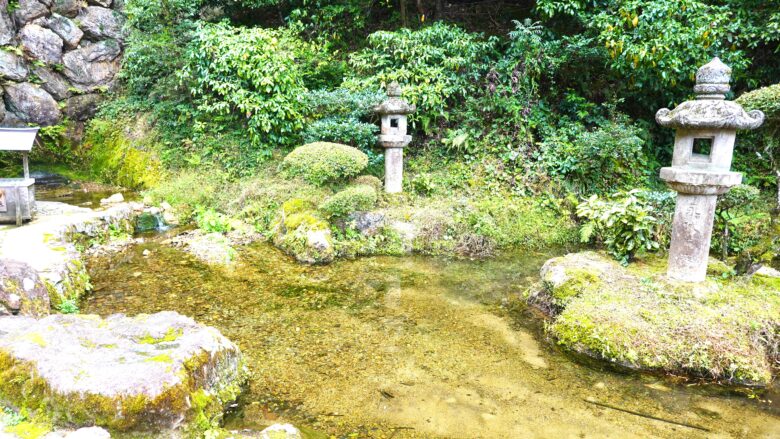 透明度の高い水辺