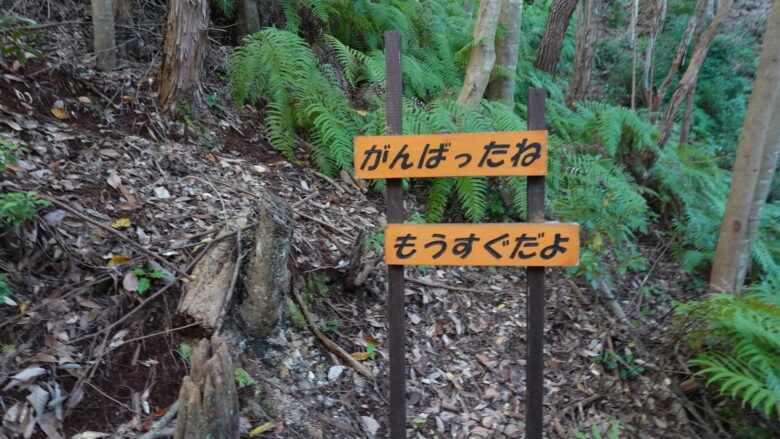 思わず「ありがとう」と言いたくなる