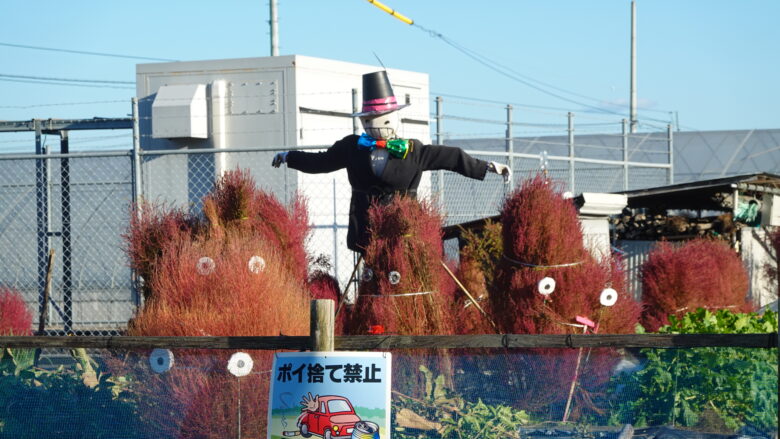 目を引く光景だ!!!