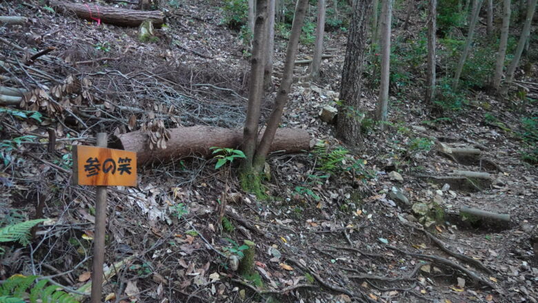 「参の笑」看板