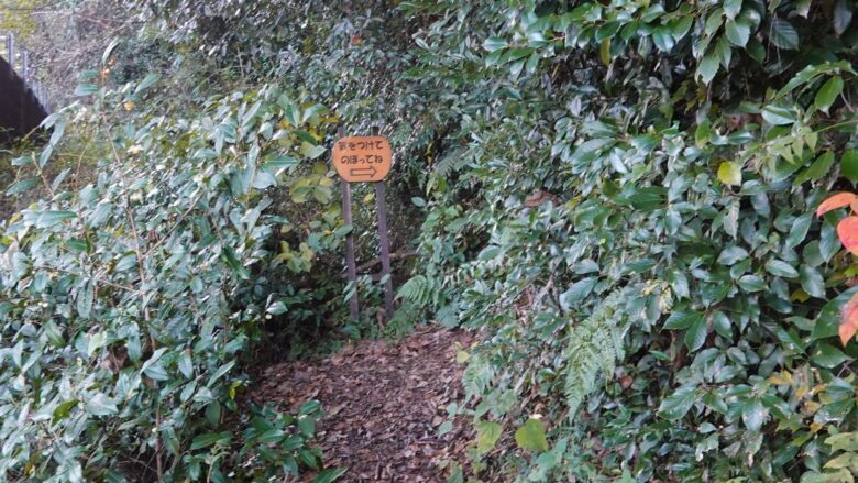 本格的な登山の開始