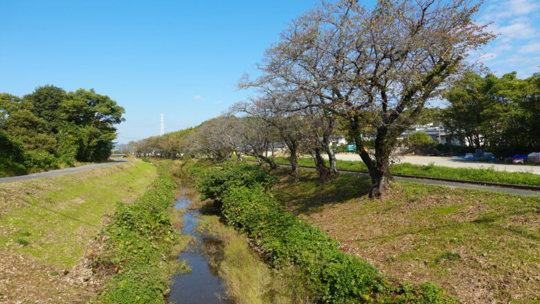 周囲の景色を楽しみながら、のんびりと進む