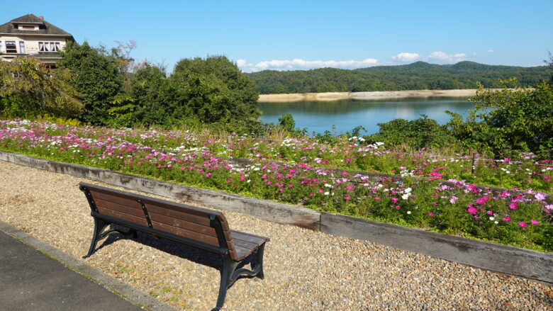 入鹿池の風景を望む
