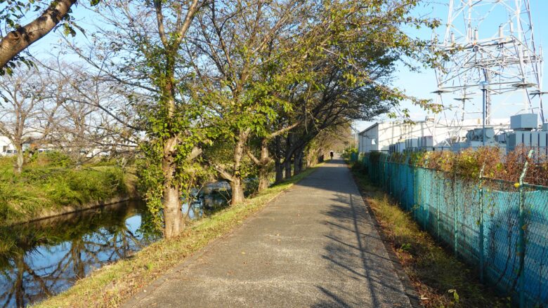 尾北自然歩道を征く