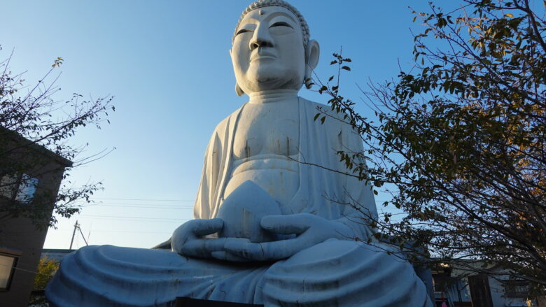 色々な角度から眺めてみよう