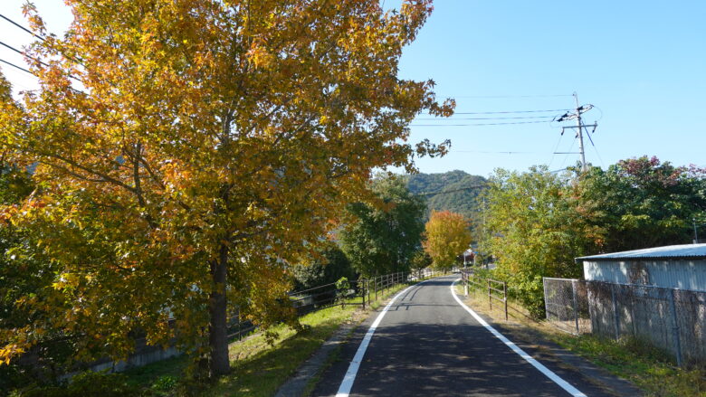 木々の鮮やかさがいい感じ