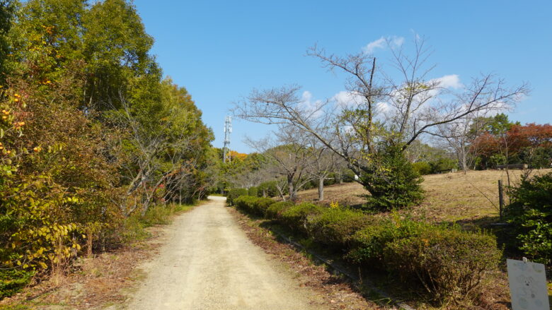広場の脇道を歩く