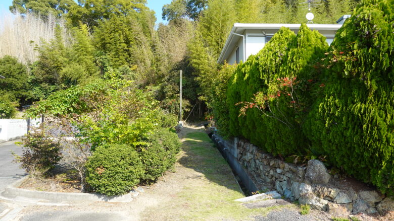 おっ、この奥が龍の道の入口のようだ