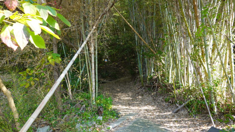 龍の道は徒歩でないと困難？