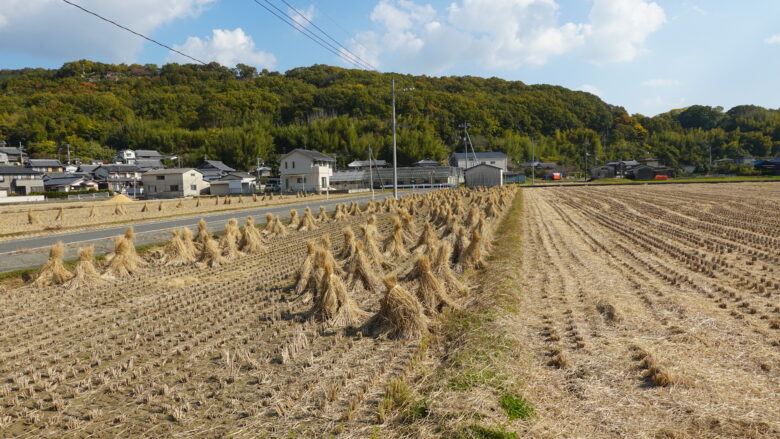 束ねた稲を山形に積み上げる光景、秋だなと思わせる