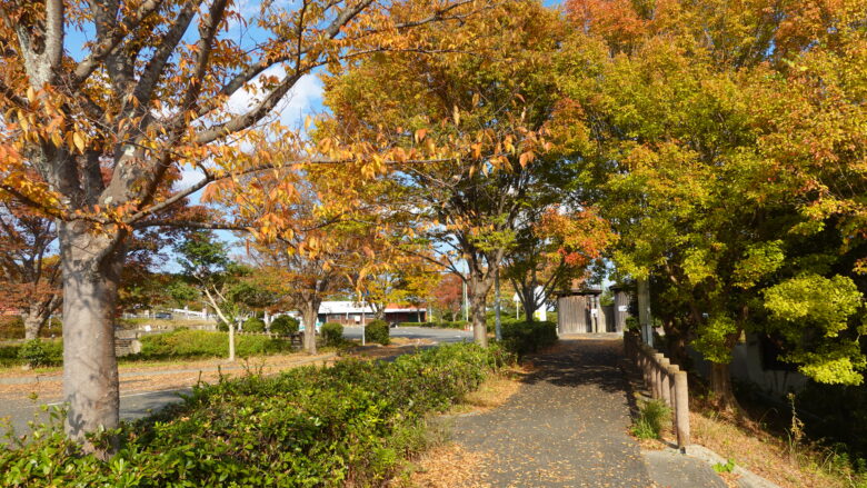 色鮮やかな木々の美しさよ