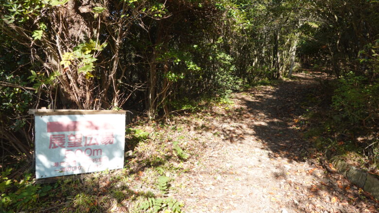 足元には落ち葉がいっぱい