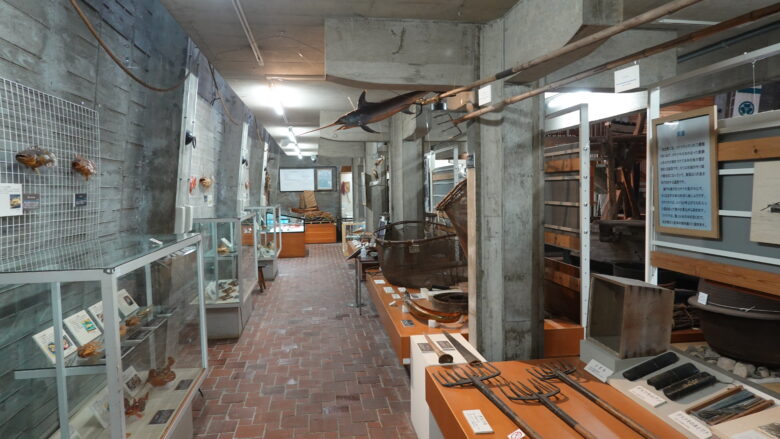 海に関係した展示資料が並ぶ