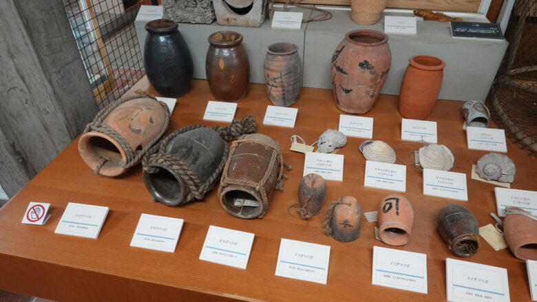 タコつぼがいっぱい、貝殻のタコつぼもあるぞ