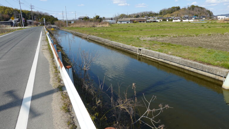 カワウソを見かけた用水路