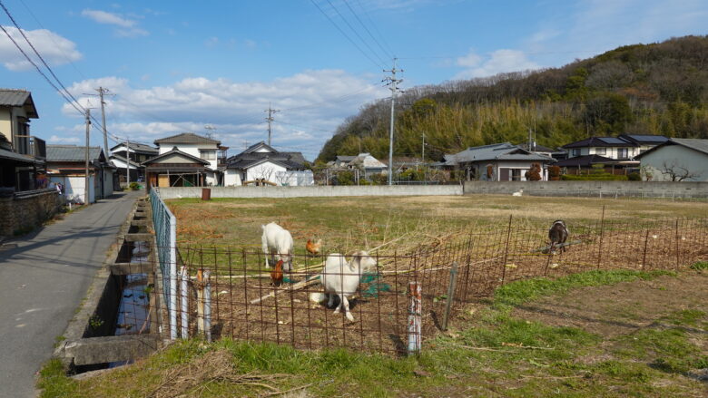ヤギやニワトリが飼われているみたい