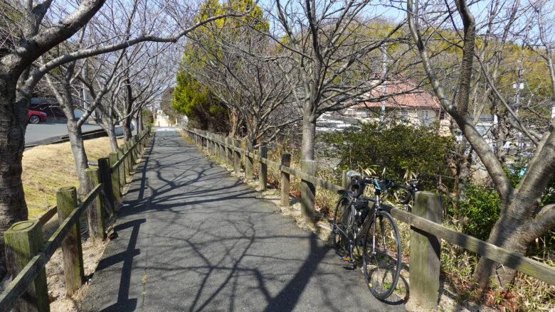 桜シーズンに通りたい