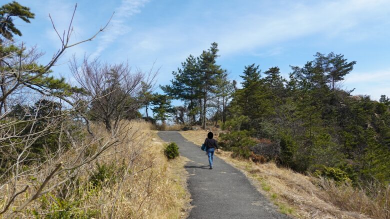山頂に近づくほど周囲は開けてくる