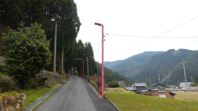街灯もピンク色だ