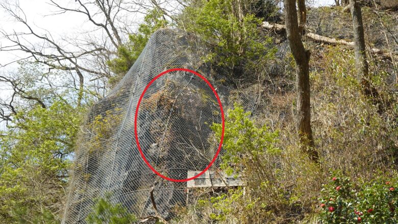 あっ、確かに観音様だ！！