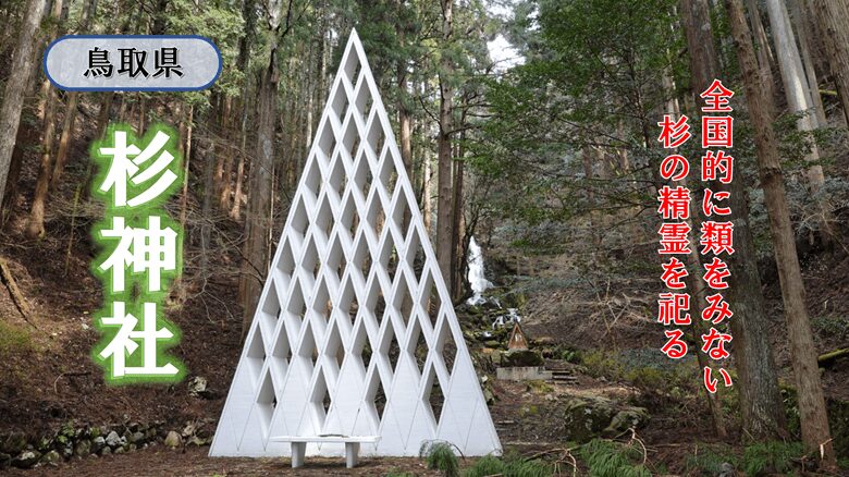 「杉神社」の紹介サムネ