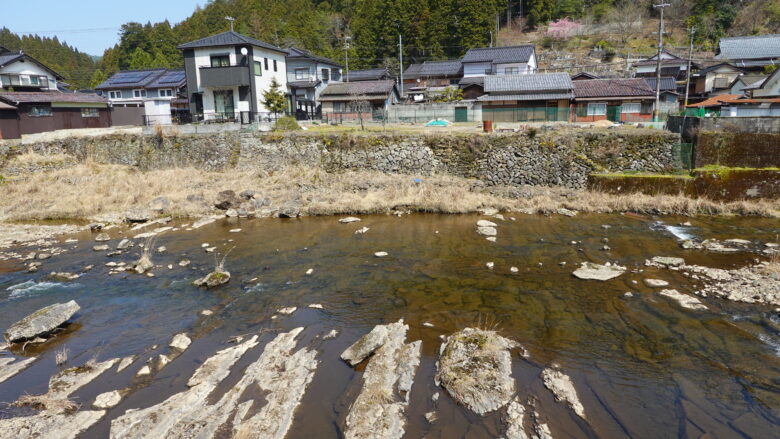 市川の風景