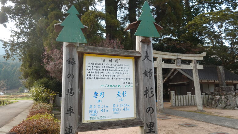 夫婦杉の里だと！！