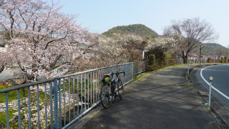 桜がキレイだ