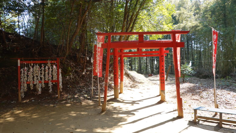 鳥居の奥はどこへつながるのだろう