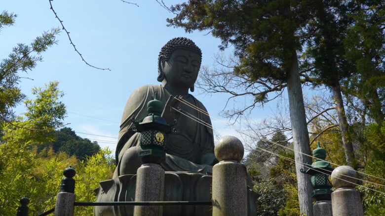 端正な顔立ちだ