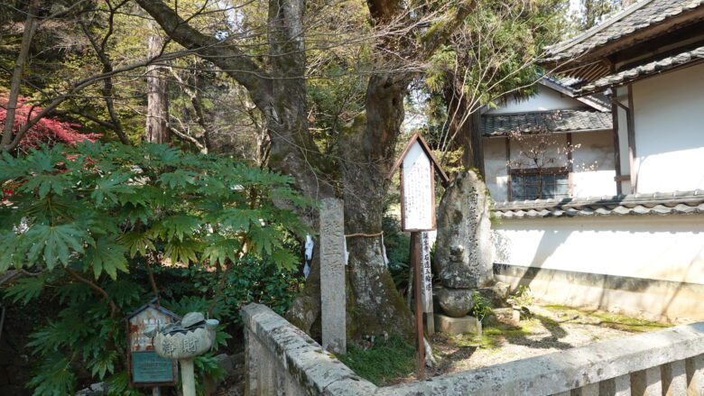 両幡の椋