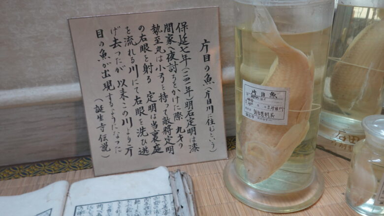 片目の魚