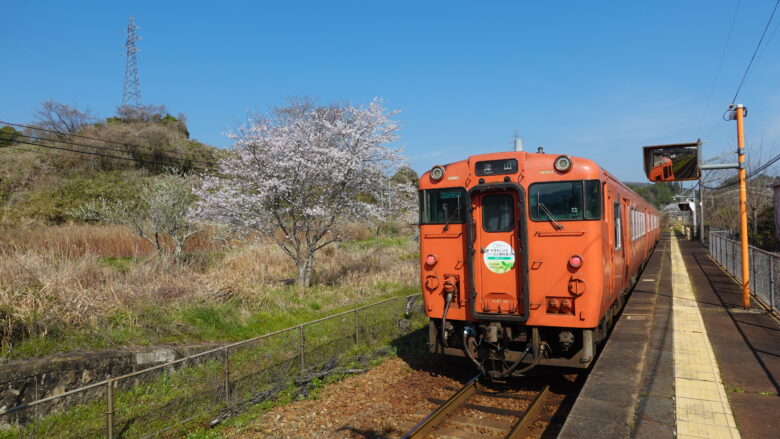 電車と桜のツーショット