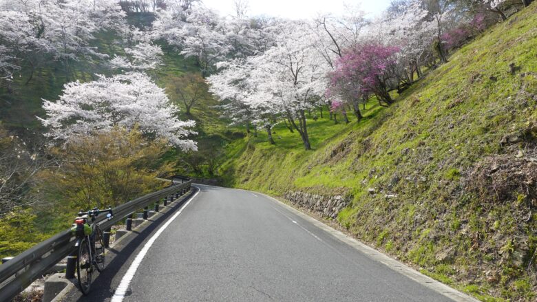 自転車で上りますよ