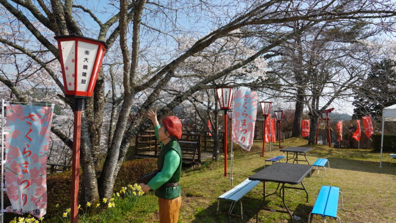 正直じいさん、桜が咲いていないぞ？