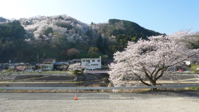 三休山の景観