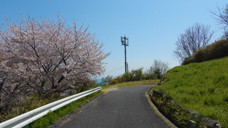 どんどん上るぞ