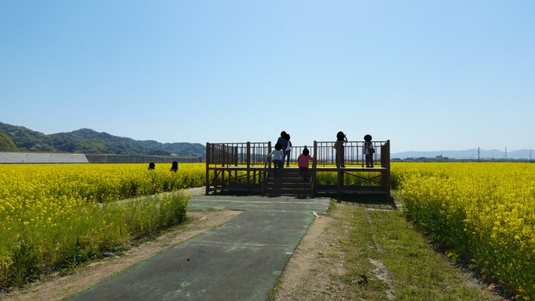展望台には観光客が次々にやってくる