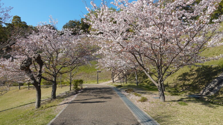 階段を見つけた